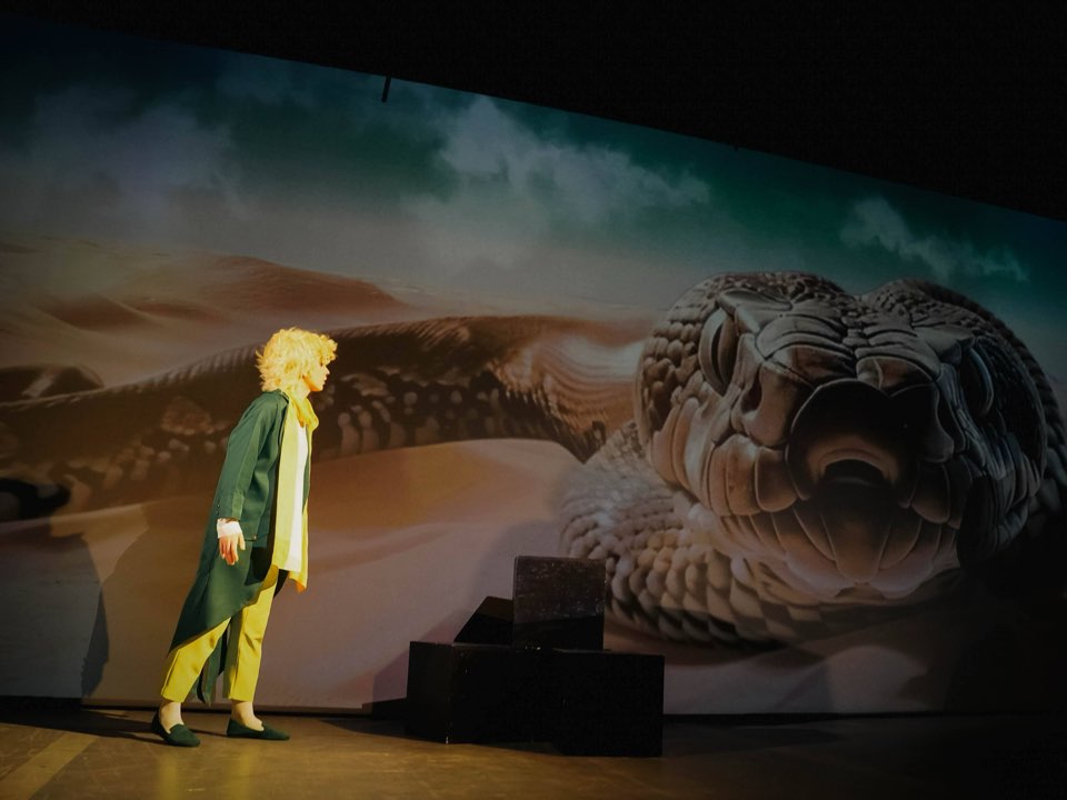The Little Prince standing before a projected desert with a giant snake