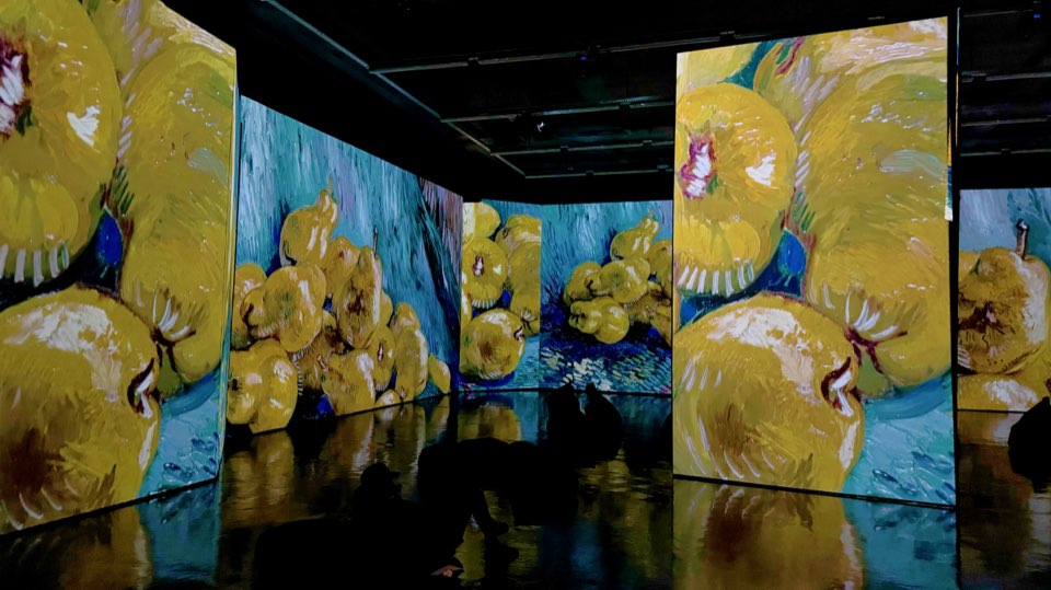 Van Gogh still life with quinces projected on giant screens and reflected in the floor